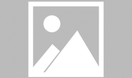 中华小当家 漫画,烹饪传奇，味蕾间的国宴盛宴